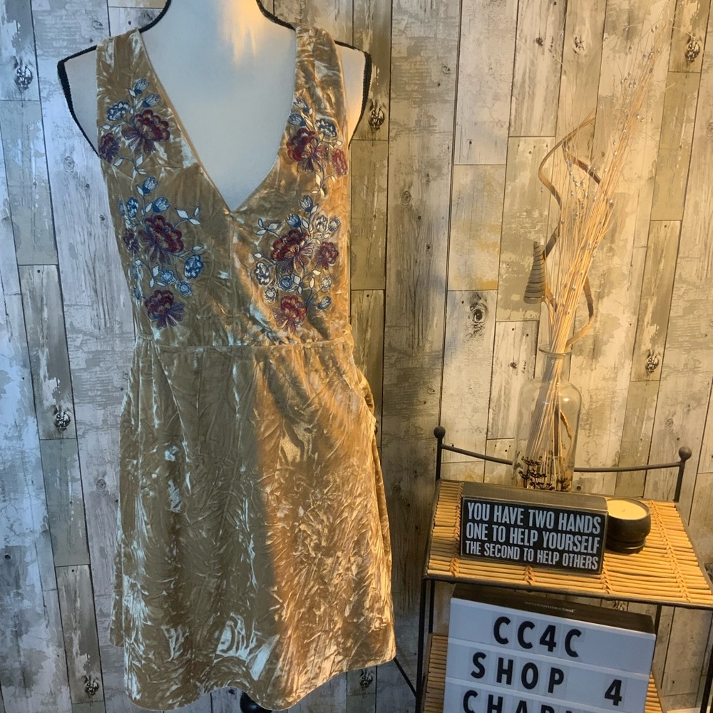 Hummingbird Beige Velvet Dress. Size M